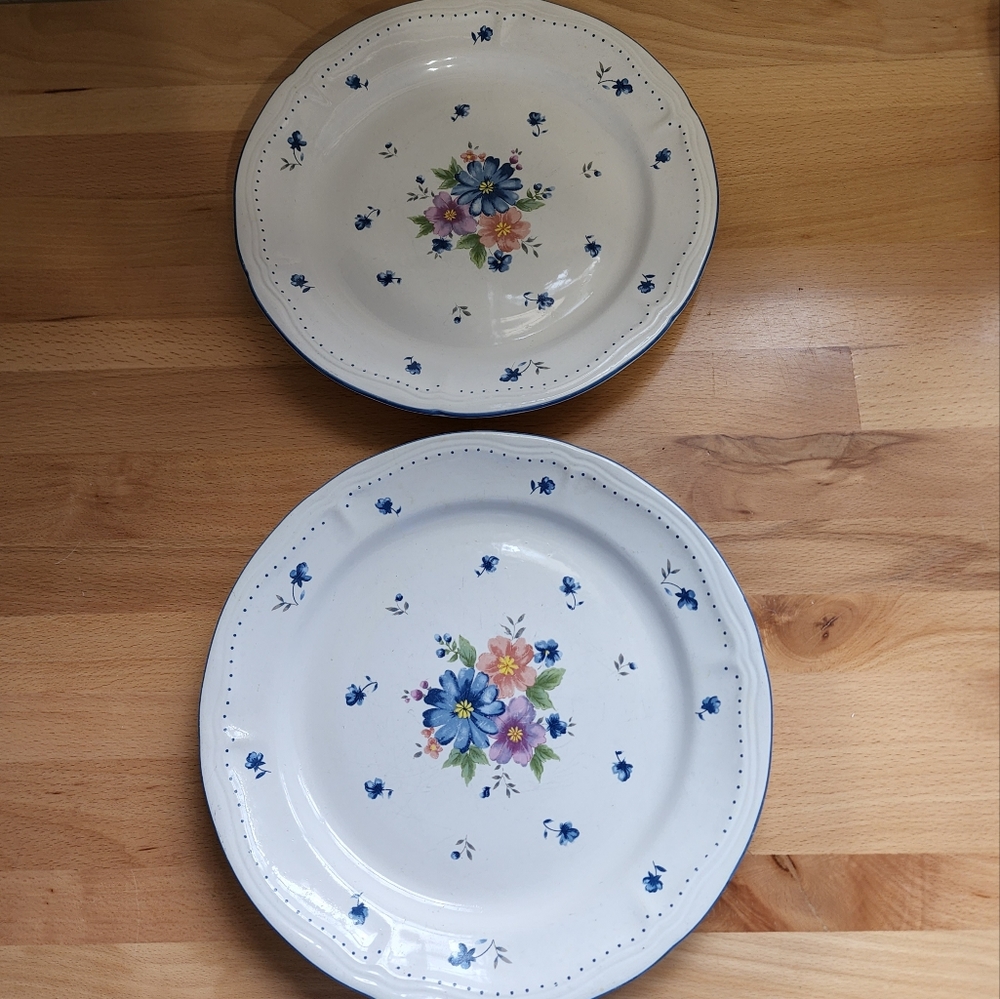 Floral Blue and White Dinner Plates